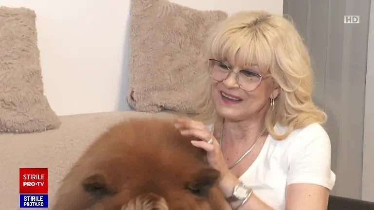 Criză de sânge în clinicile veterinare. Cât costă o transfuzie pentru câini