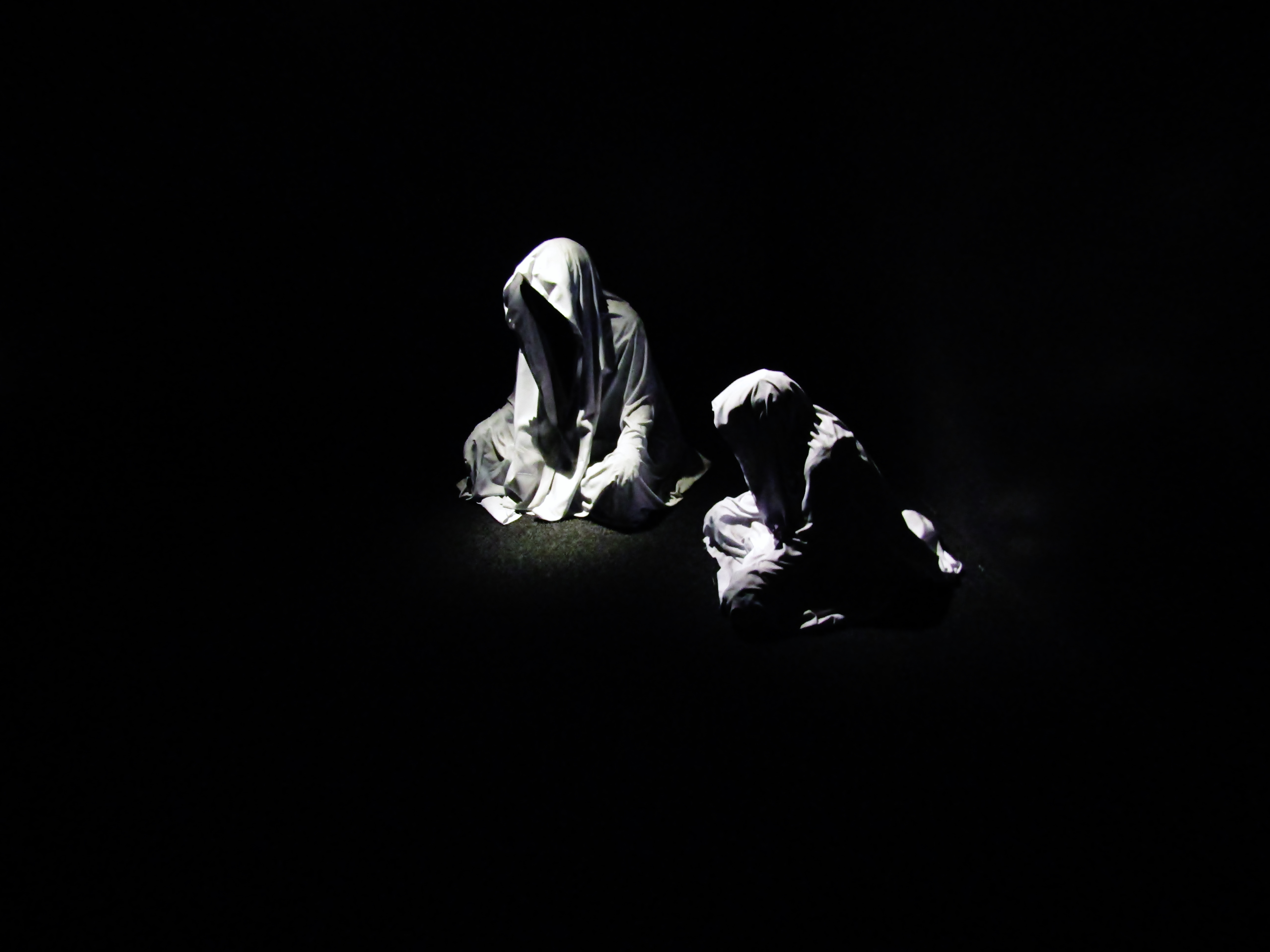 O femeie pretinde că a surprins cu o cameră video două „vrăjitoare dezbrăcate”, care se înfruptau din cadavrul unui cerb