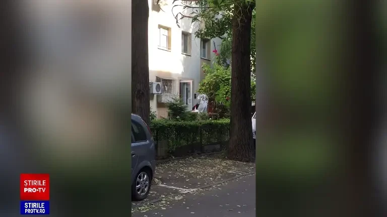 Descoperire șocantă în Berceni. Cui aparține cadavrul din sac găsit de un proprietar într-un apartament din Berceni