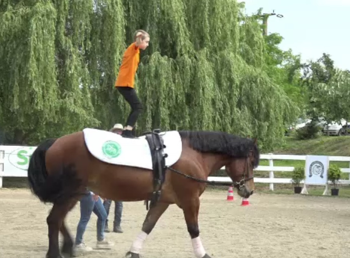 Concurs de echitație în Alba. Sute de copii, dornici să își arate măiestria în șa