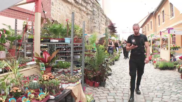 O stradă a florilor din Cluj-Napoca a adus vizitatori și din străinătate. Care sunt prețurile