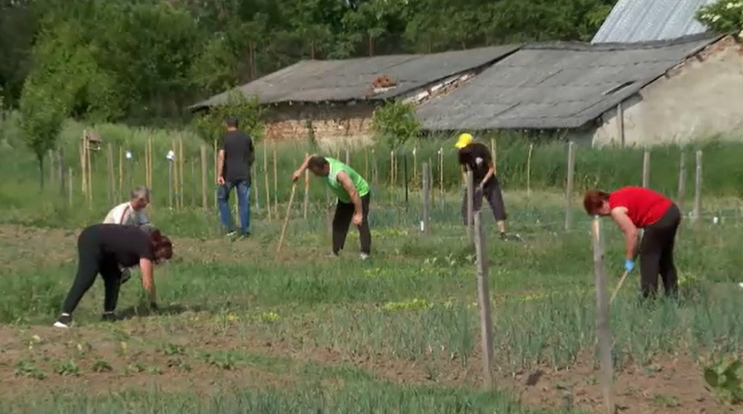 Un liceu din Bistrița-Năsăud a pus la dispoziția cetățenilor câteva parcele pentru a planta legume și flori