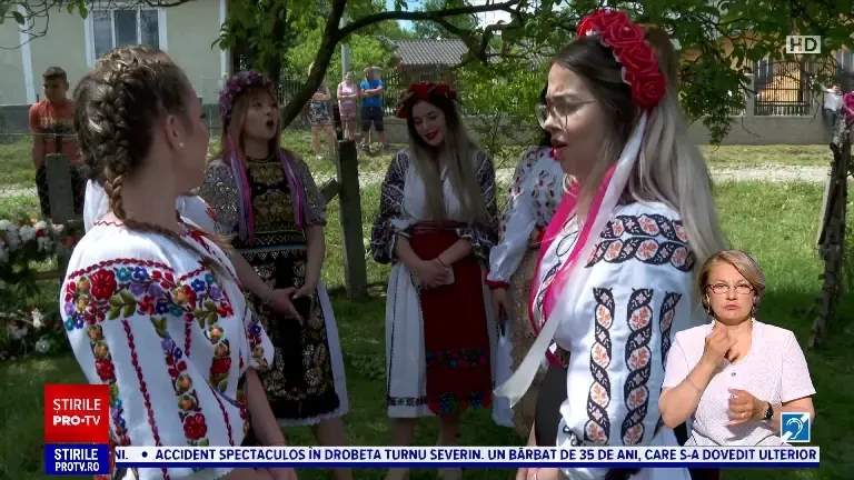 ”Înstruțatul boului”, tradiție străveche de Rusalii din Bistrița-Năsăud. Ce se întâmplă cu fetele care ating animalul