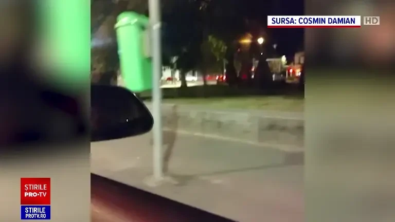 Pui de urs eutanasiat în Brașov, după ce a căzut de la balconul unei parcări. „Suferea foarte tare săracul”