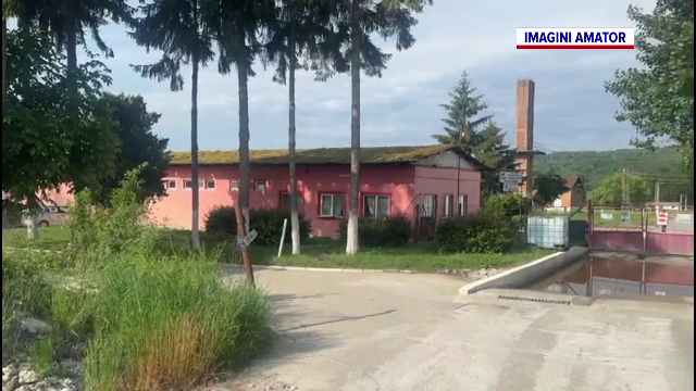 Trei angajate de la o fermă, prinse în flagrant când voiau să fure mii de pui vii. Urmau să-i vândă pe piața neagră