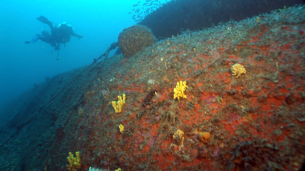 FOTO și VIDEO. Unde a fost descoperită epava submarinului Triumph, dispărut misterios în 1942, în Al Doilea Război Mondial