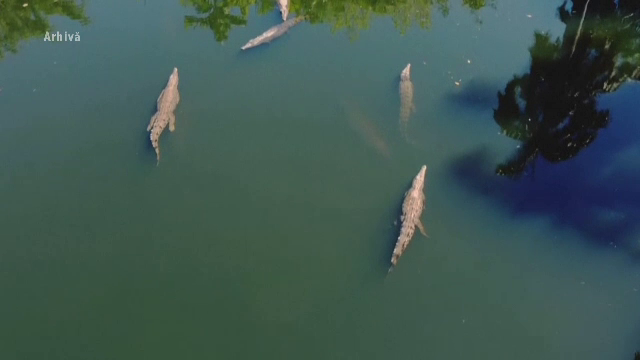 O femeie şi-a aruncat copilul într-un râu cu crocodili, la insistenţele tatălui de a scăpa de fiul cu dizabilități