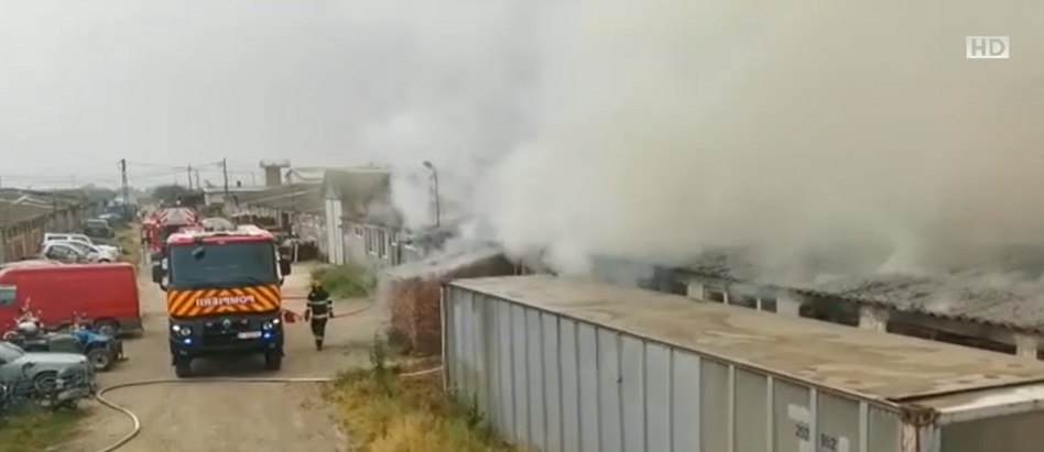 O hală din Cluj în care se aflau peleți a fost mistuită de flăcări. Cauza incendiului rămâne neclară | FOTO