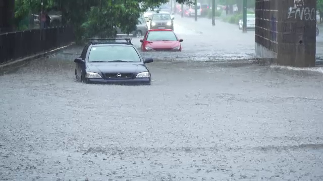 Mai multe străzi din Timiș au fost inundate. Șoferii și-au abandonat mașinile care au rămas blocate în ape