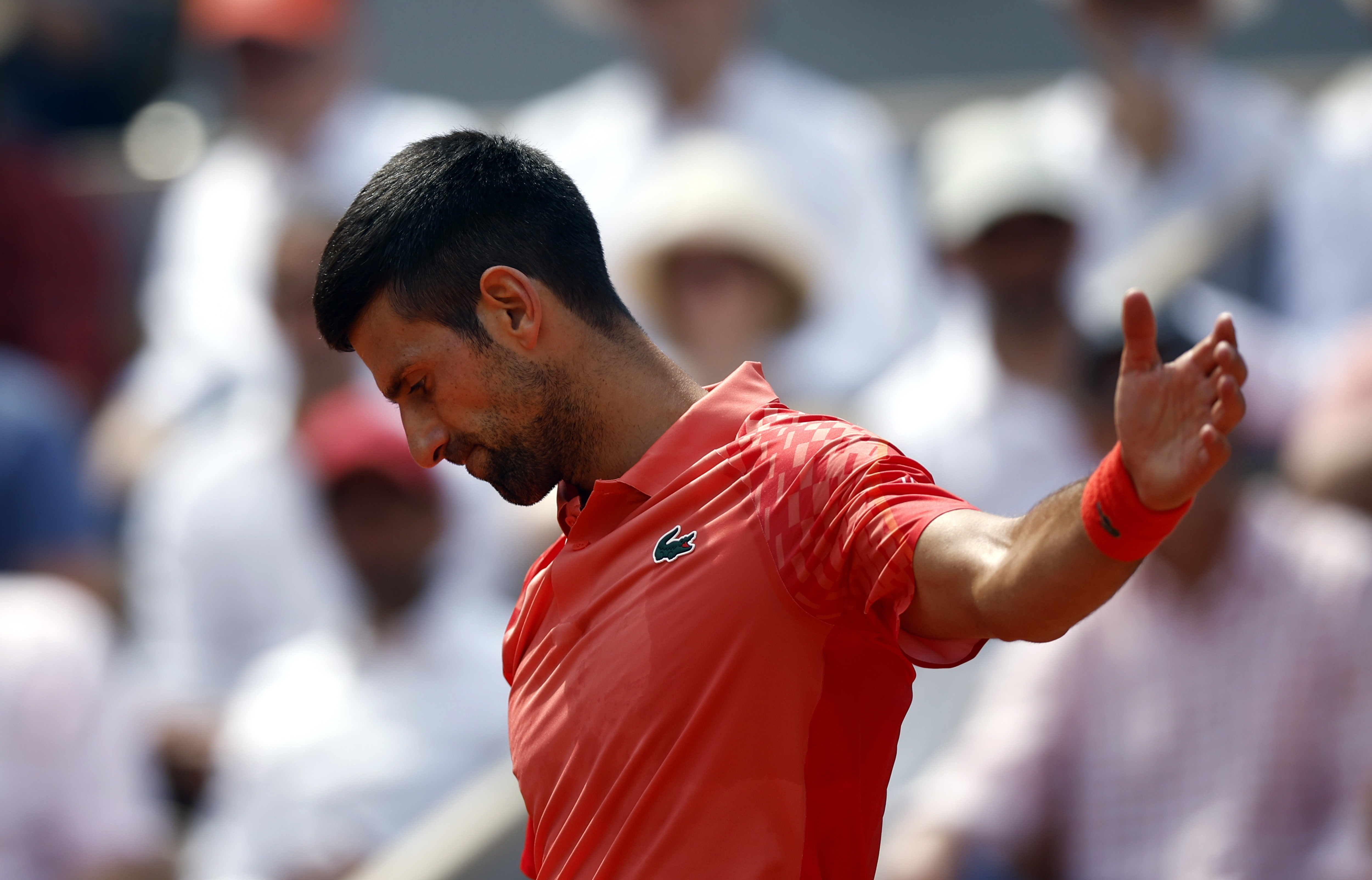 Novak Djokovici spune că are o relaţie specială cu un copac. Explicația sportivului