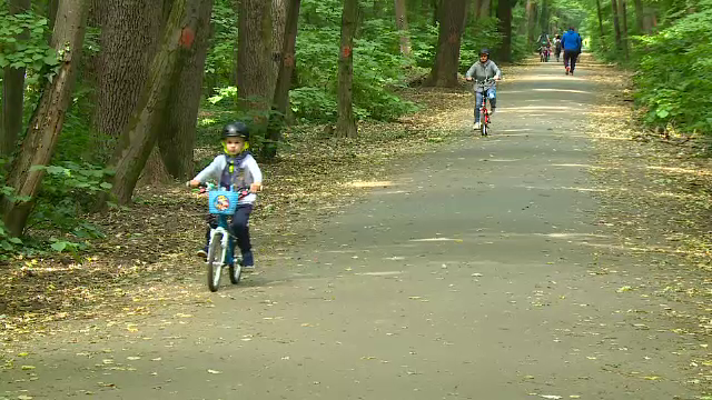 Lipsa jocurilor în natură îi poate afecta pe copii. Idei de activități în natură pentru cei mici și cei mari