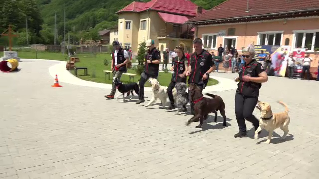 Misiune specială în Alba, încheiată cu succes. Câini de salvare au găsit două persoane rătăcite într-o zonă accidentată