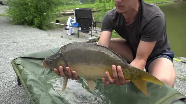 Idei de vacanță pentru a petrece vara în România. Cazări pe malurile lacurilor, unde se poate pescui