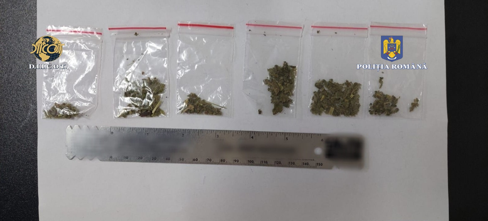 Trei bărbaţi din Bacău care obligau mai multe fete să se prostitueze în străinătate, reţinuţi. Aveau asupra lor droguri