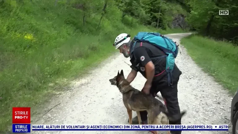 Misiune specială în Alba, înheiată cu succes. Câini de salvare au găsit două persoane rătăcite într-o zonă accidentată