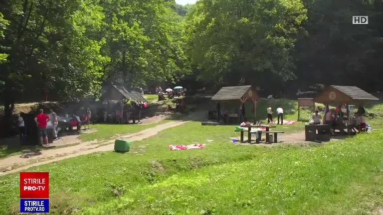 Reacția unui bărbat aflat în drum spre Poiana Brașov, după ce a primit mesaj RO-Alert că în zonă a apărut un urs