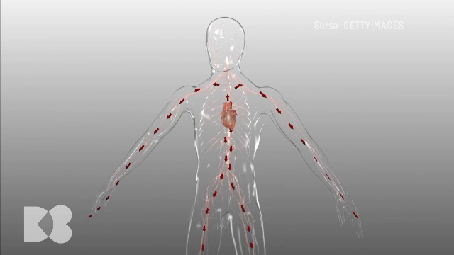 Ce este tromboza venoasă profundă. Poate apărea în timpul călătoriilor lungi cu mașina sau cu avionul