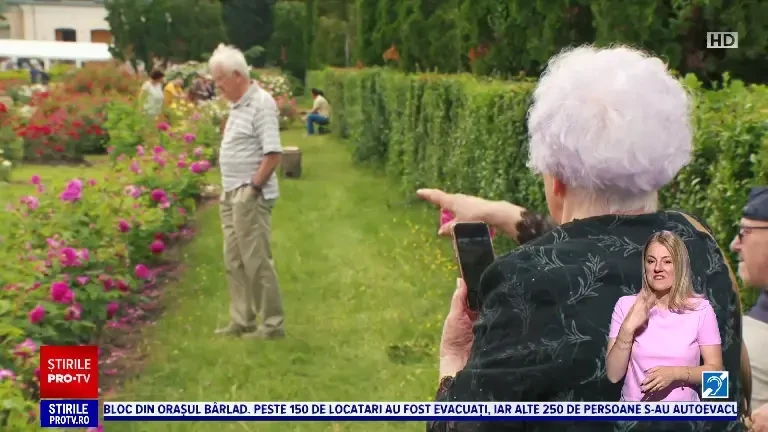 Expoziție de trandafiri în Cluj-Napoca. Zeci de soiuri au fost create de specialiști și studenți