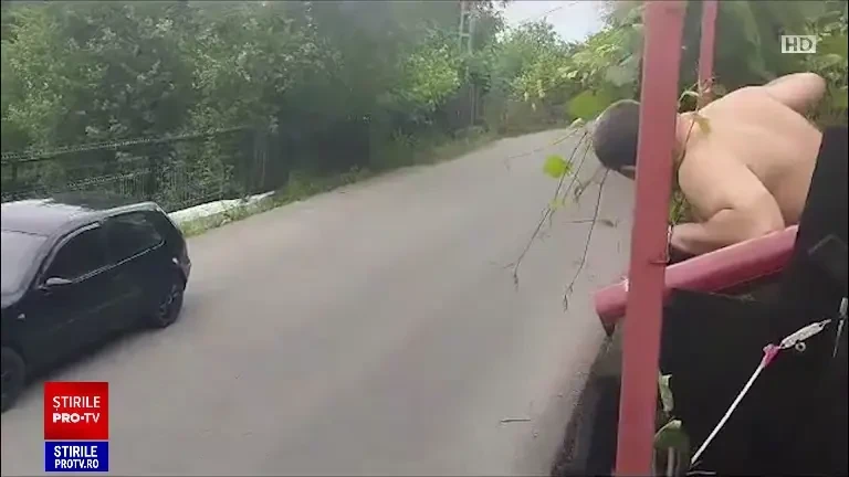 „Întâi omoară și apoi cară”. Locuitorii unei comune din Prahova sunt terorizați de urși. Animalele umblă libere pe străzi