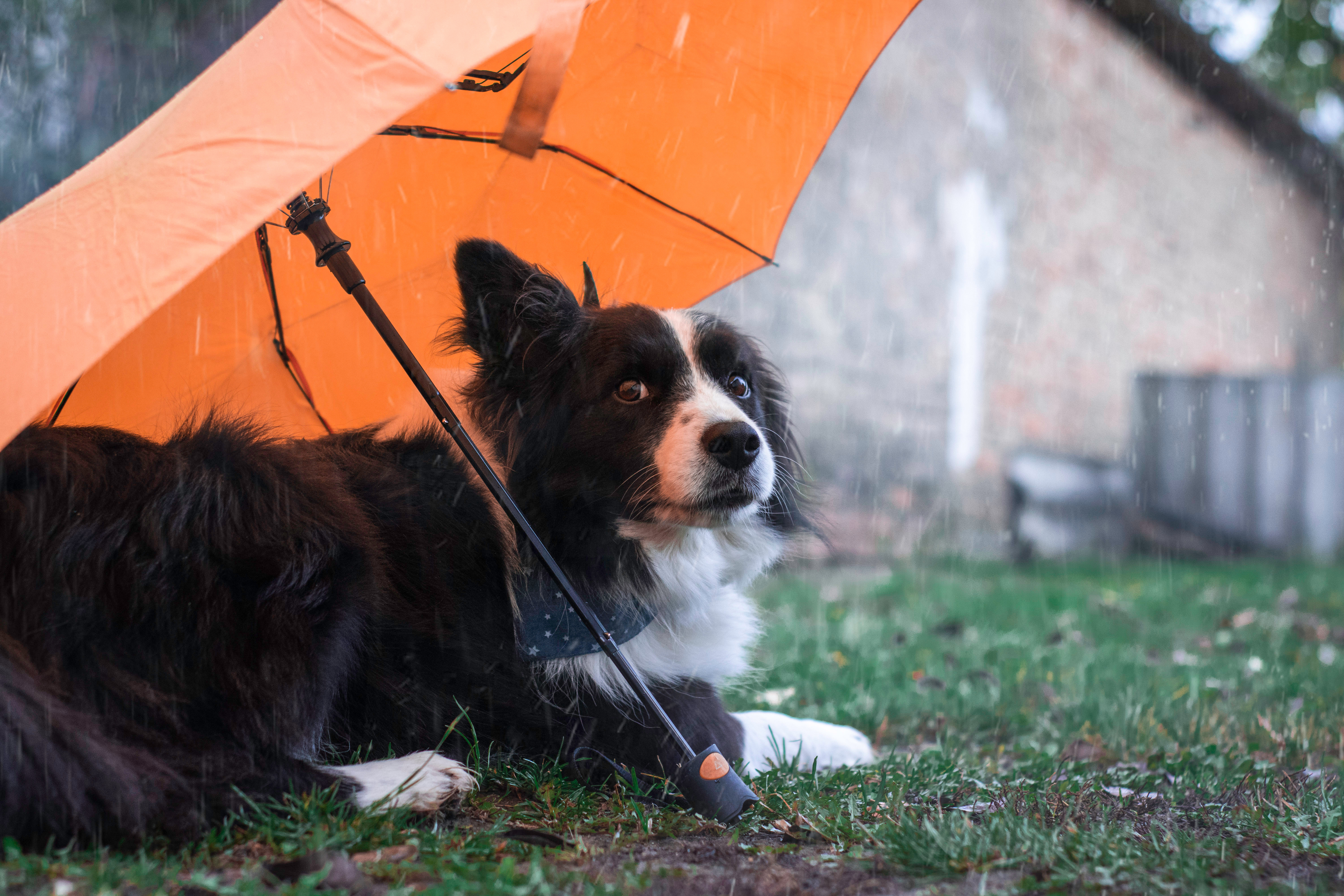 Vremea azi, 8 iulie. Plouă din nou în a doua parte a zilei. Temperaturile ajung la 31 de grade Celsius