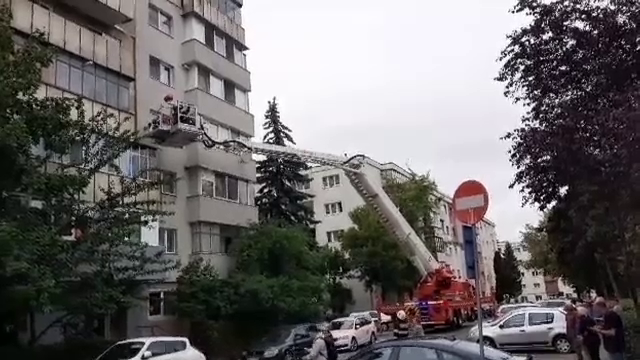 Pisici salvate de pompierii din Iași și Cluj, într-o misiune specială