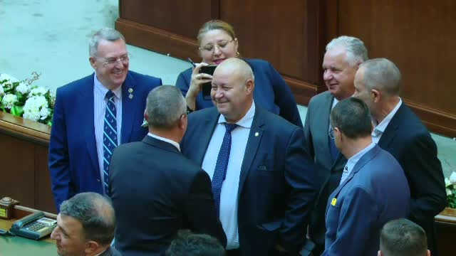 Diana Sosoaca, Nicolae Ciuca