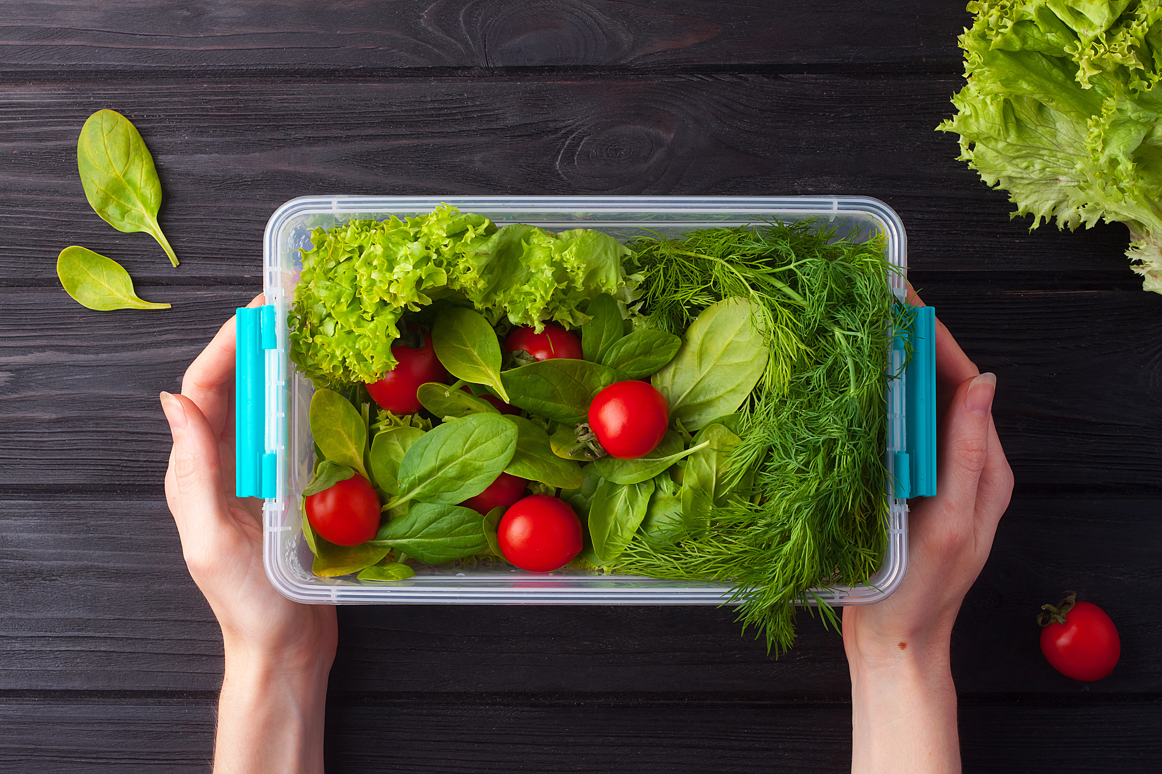 Verdețuri de primăvară: beneficii, utilizări și rețete pentru o dietă sănătoasă