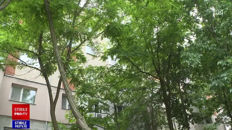 „De dimineață plâng”. Mărturiile vecinilor care au asistat neputincioși la tragedia unei o fetițe de patru ani