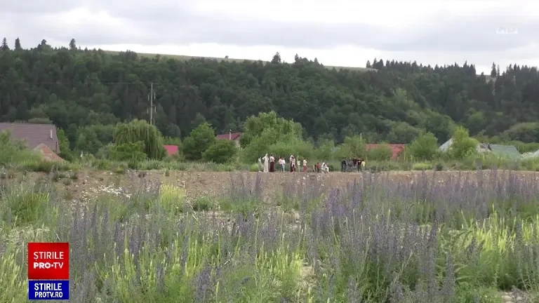 Un copil de 4 ani a murit după ce a căzut într-un râu din Bacău, de față cu mama lui