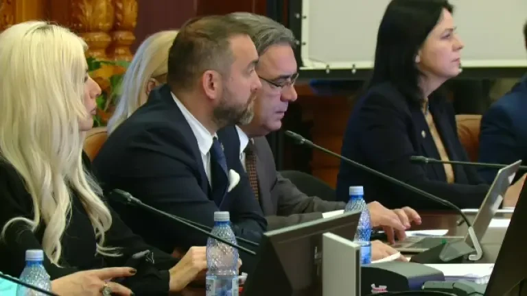 Audierea ministrului propus al Justiției, Alina Gorghiu