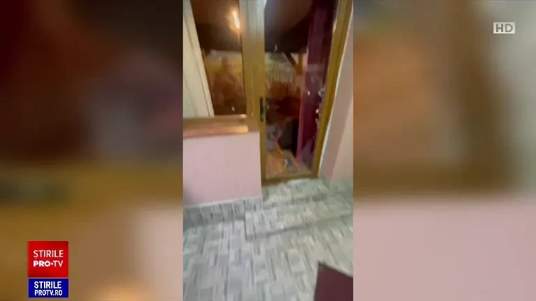 Casa din Predeal a unui celebru chirurg plastician din București, devastată de un urs. A făcut ravagii în frigider