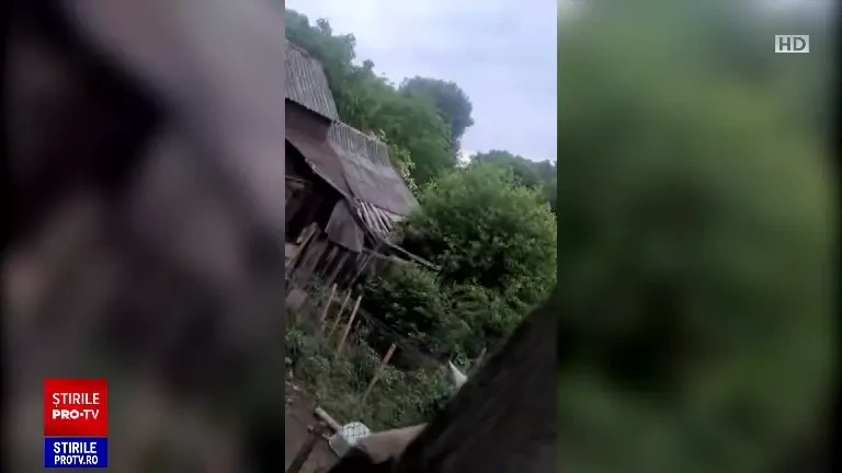 „La mine în fiecare noapte vine”. Urșii fac ravagii în stațiunile de munte. Localnicii sunt exasperați