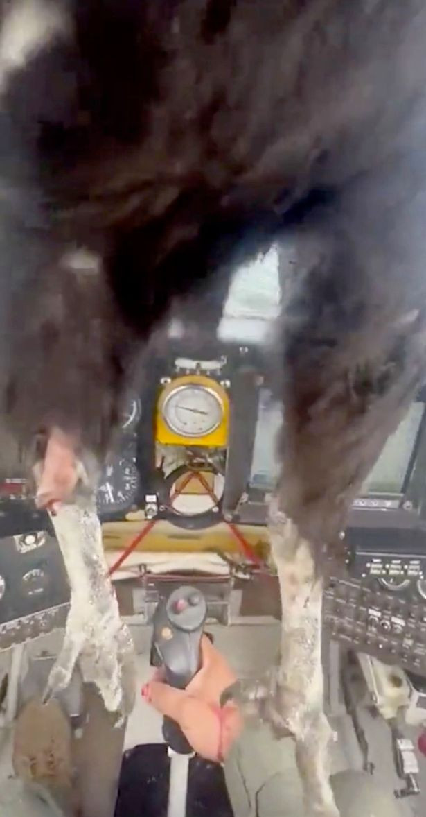 pilotul lovit de condor