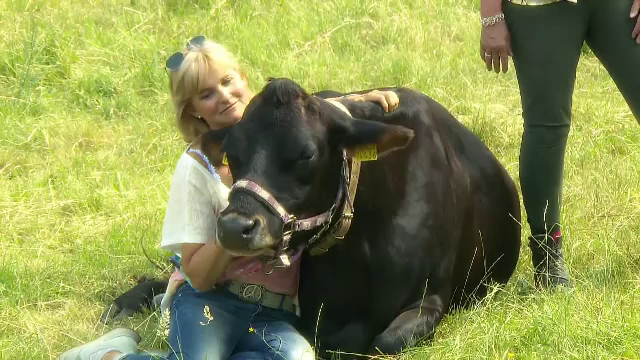 O fermă din Germania primește oaspeți care vor să stea pe iarbă alături de văcuțe pentru a scăpa de stres