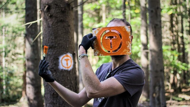 Via Transilvanica, traseul care unește România, a câștigat European Heritage Award. Cum poți vota ca să ia Grand Prix-ul