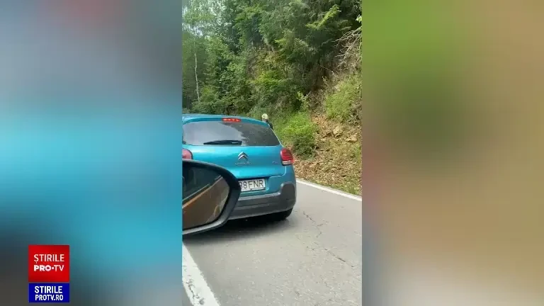 Momentul hilar în care o ursoaică se urcă pe motocicleta unui turist, pe Transfăgărășan. În total au fost văzuți 12 urși