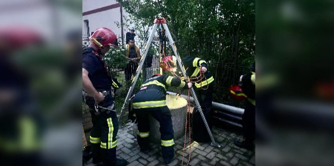Brașov: Un pui de pisică a fost salvat de pompieri după ce a căzut într-un puț adânc de 10 metri