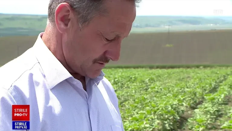 Fermierii afectați de seceta de anul trecut așteaptă despăgubirile de la stat și de la Comisia Europeană. Câți bani vor primi