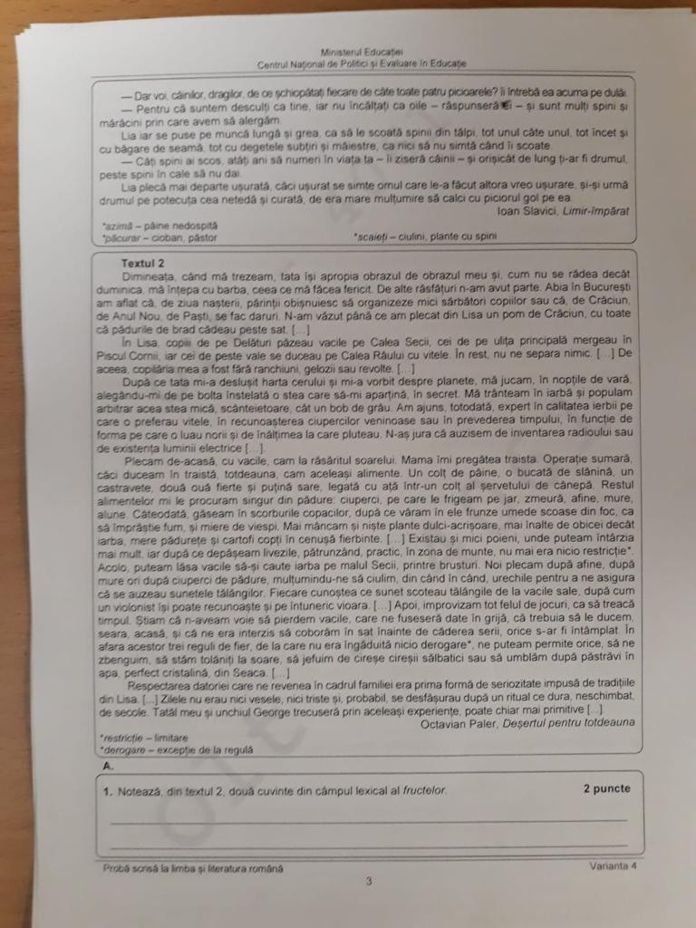 Subiecte romana evaluare Nationala