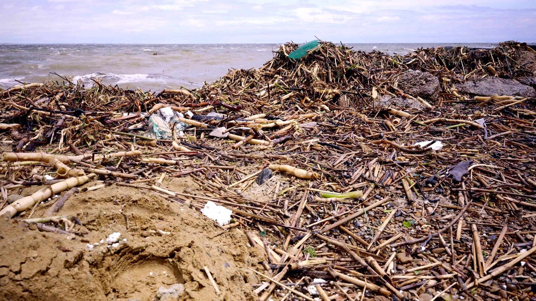 Litoralul din Odesa a devenit o „groapă de gunoi şi un cimitir de animale”, după dezastrul de la Nova Kahovka