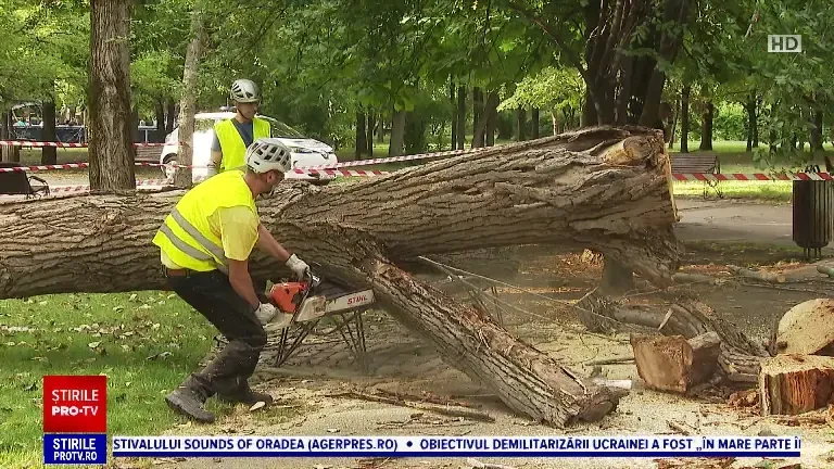 Femeie rănită într-un parc din București, de un copac doborât de vânt. ”Trecem zilnic pe aici”