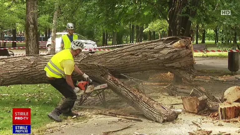 Femeie rănită într-un parc din București, de un copac doborât de vânt. ”Trecem zilnic pe aici” (1)