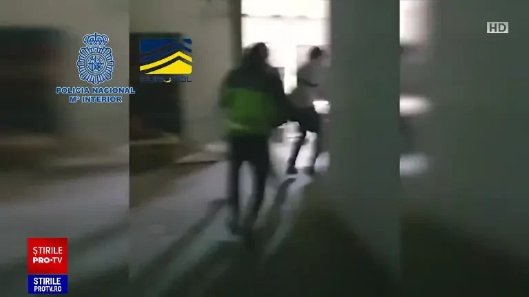 „Drogurile sunt acum peste tot în Europa”. Traficanții au început să modifice genetic plantele de cannabis