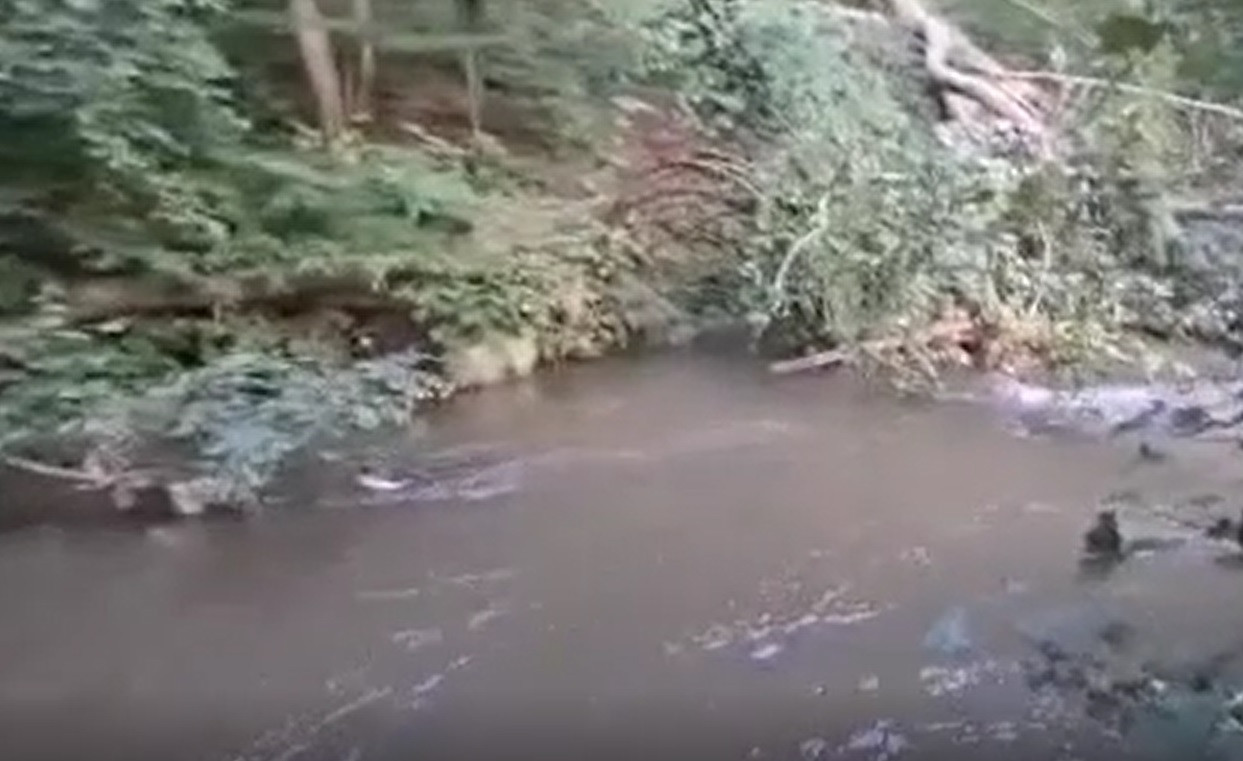 Tragedie într-o familie din Caraş-Severin. Un băiețel de 3 ani a murit după ce a căzut într-un râu