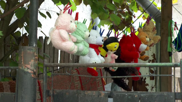 „Viața i-a fost pusă în pericol”. În ce stare este fetița din Argeș care a fost mușcată de câinele rudelor