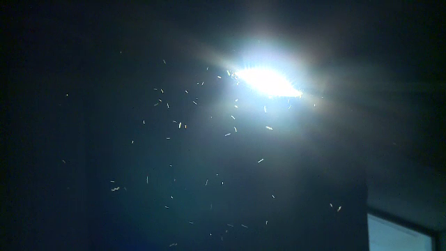 Odată cu temperaturile ridicate a început și sezonul țânțarilor. Autoritățile din București au început dezinsecția