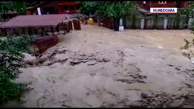 „A distrus tot”. Ploile torențiale au făcut prăpăd în țară. Sute de gospodării inundate, copaci doborâți de vânt