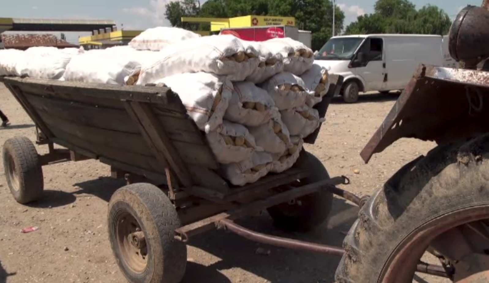 Cât au ajuns să coste cartofii noi. Producătorii profită de cerere și au mărit prețul