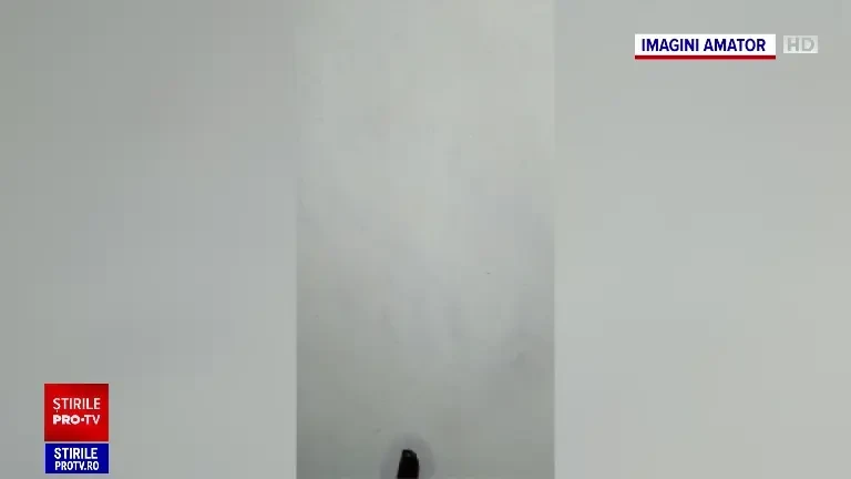 Invazie în Hunedoara. ”Intră pe gaura cheii, îi găsești oriunde, pe clanță, în papuci. E un film de groază”