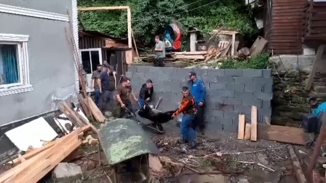 Ursul care a băgat spaima în localnicii dintr-un sat din Bistrița Năsăud a fost capturat și tranchilizat